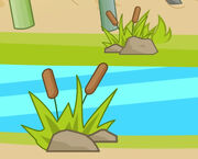 Reeds