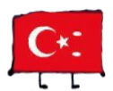 Türkiye Flag; Taha Tarık BATTAL