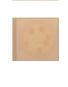 Pizza Box