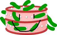 Pickle Cake; jamalioHabbo14