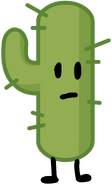 BFB Cactus