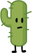 Cactus; ObjectiveInsight