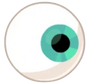 Eyeball