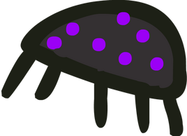 Bug