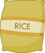 Rice Bag