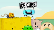 TEAM ICE CUBE ALL THE WAY!!! YAY!!!