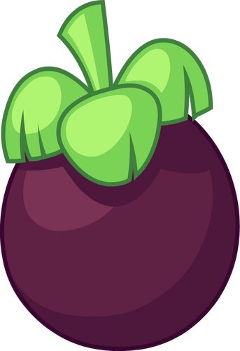 16bb mangosteen