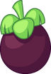 Mangosteen/Purple tomato (RCs Debut)