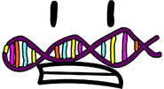 Rc DNA