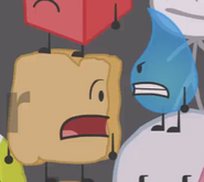 Woody and Teardrop in BFDI 20.