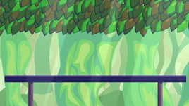 Jungle BFPTM10