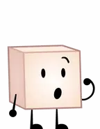 Griffin's contestant in TROC 4, Skin Cube.