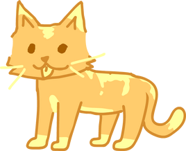 15ib orangekitty