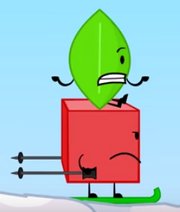 Leafy Blocky Skis.png