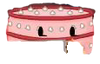 Cake Jr.