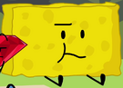 17spongy2