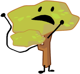 BFB 16