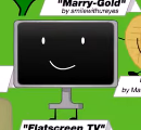 Flatscreen TV; destroyer334545, marioluigi3128