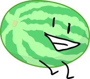 Watermelon; wifishark