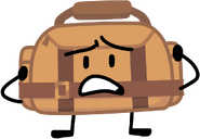 DC89DF92-B79B-471D-87A7-DA23B8240071.png (86 KB) Duffel Bag; TehCanadianSpartan