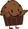 Chocolate Muffin