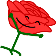 Rose in a bush next to the Announcer
