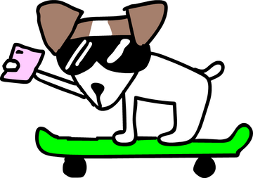 jack russell terrier dog riding very fast with speed a