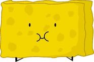Spongy (till BFDIA 10) (13th)