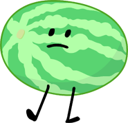 Watermelon; wifishark