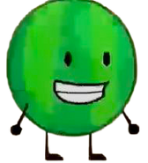 Watermelon; Watermelon16