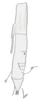 2008