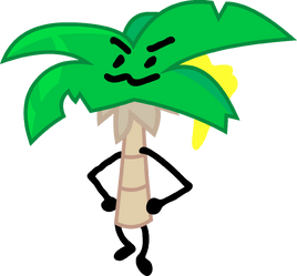 BFB 13