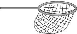 Net