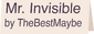 Mr. Invisible; TheBestMaybe