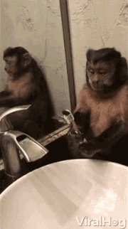 BFB 18 Monkey.gif