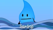 Teardrop.png (304 KB)