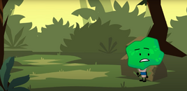 Jungle