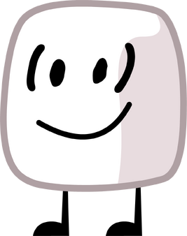 BFB 15