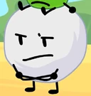 T12Snowball14.png (73 KB)