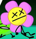27flowercrop19.png (224 KB)