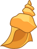 Conch Shell without advanced coloration.