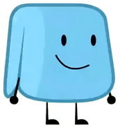 Towel; Ledybaguy