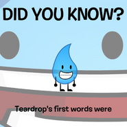 "A collection of BFDI "Did You Know?" posts, in all their glory. (1/5)