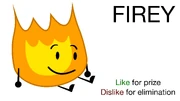 Vote Firey