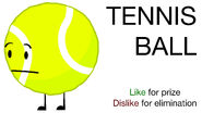 Voting of Tennis Ball BFDIA 5e