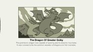 A description and picture of the Dragon