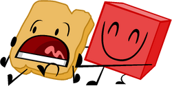 Battle For Dream Island Wiki - Woody Bfdi, HD Png Download - 1898x2032(#6743293) - PngFind