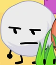 T12Snowball6.png (27 KB)