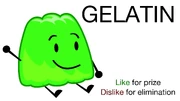 Vote Gelatin