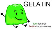 Voting of Gelatin BFDIA 5e